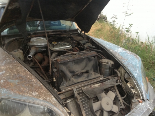 ขาย ซีตรองหน้ากบ