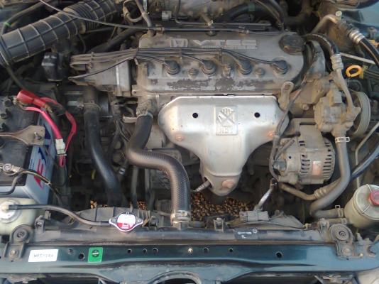 แอคคอร์ด งูเห่า ปี00 สีสันเต็ม vtec Abs/Air Bag 2 ใบ ก.ออโต้ เบาะหนังแท้ปรับไฟฟ้า ราคานี้ถูกสุดๆเลยครับ