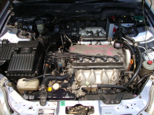 ขายซีวิตตาโตเดิมๆครับ ขายซีวิตตาโตเดิมๆครับ