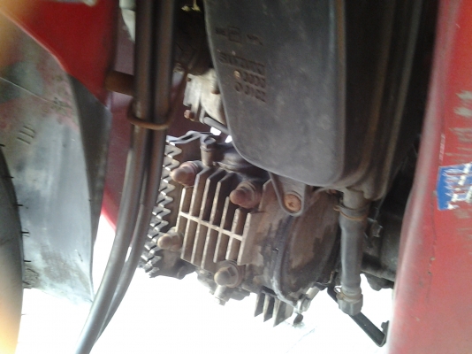 ขายวีว่าสตาร์ทมือปี39 ขายวีว่าสตาร์ทมือปี39