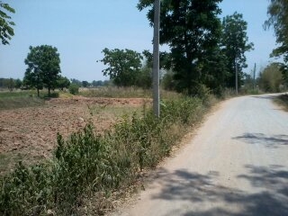 ขายที่ดิน 7 ไร่ ราคา 220,000 ต่อไร่ อ.สีคิ้ว ติดทางสาธารณะทำเลดี