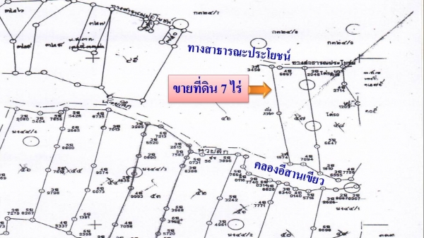 ขายที่ดิน 7 ไร่ ราคา 220,000 ต่อไร่ อ.สีคิ้ว ติดทางสาธารณะทำเลดี