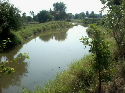 ขายที่ดิน 7 ไร่ ราคา 220,000 ต่อไร่ อ.สีคิ้ว ติดทางสาธารณะทำเลดี