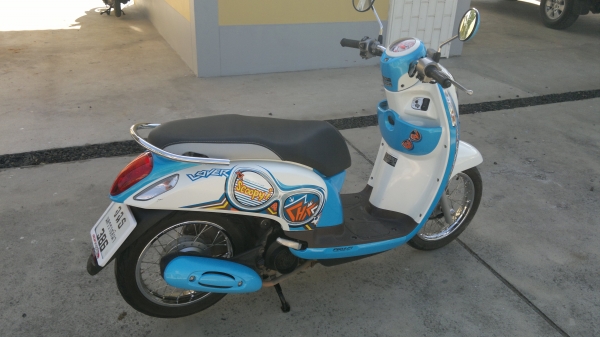 Honda New Scoopy i ปี56
