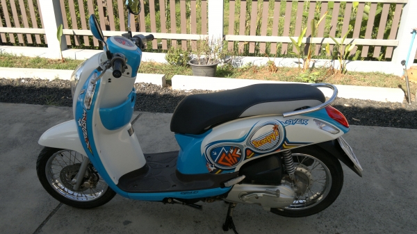 Honda New Scoopy i ปี56 Honda New Scoopy i ปี56