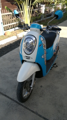 Honda New Scoopy i ปี56 Honda New Scoopy i ปี56