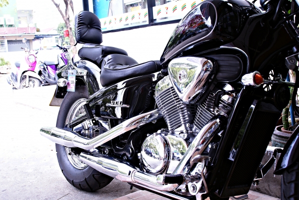 สตีด ทะเบียนโอนนอก