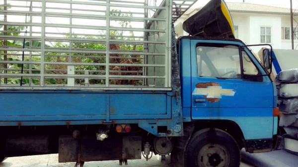 ขาย ISUZU NKR 110 แรงม้า 6 ล้อ