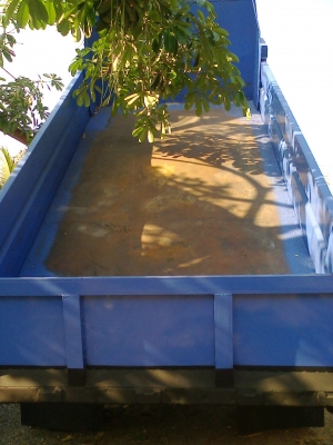 เสี่ยใหญ่ใจถึง เชียงราย มัดจำกางอากาศแล้วคับ เปลี่ยงแปลงจะแจ้งให้ทราบ NPR 120แรงห้างแท้ปี39 หัวการ์ตูน รถสวยจริงๆคับ เครื่องเกียร์แน่นดีมากไม่มีเยิ้ม คัชชีสวยหมุดครบทุกตัว  ช่วงล่าง