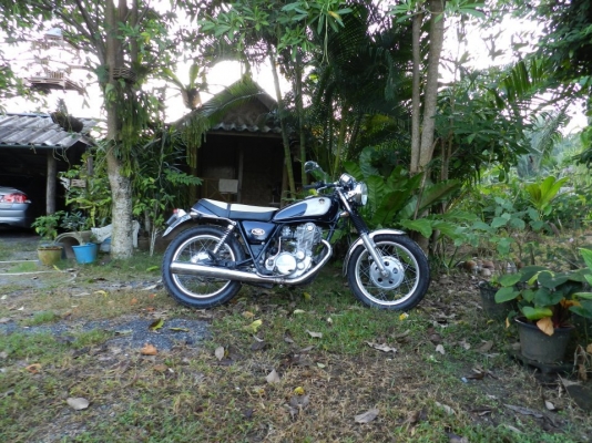 ขาย YAMAHA SR 400