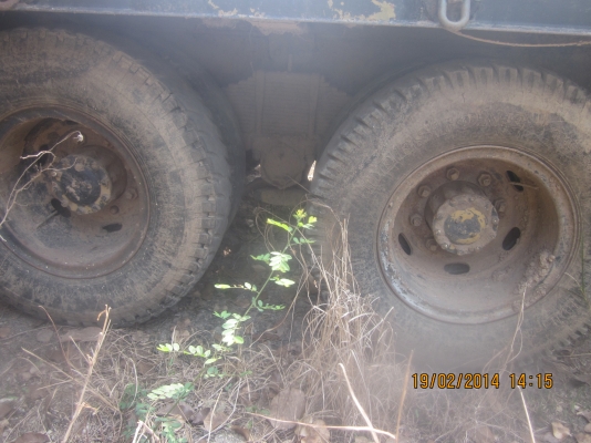 ขาย f18 หางปลา