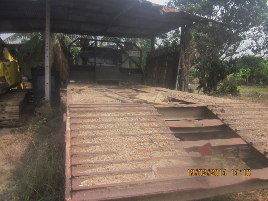 ขาย f18 หางปลา