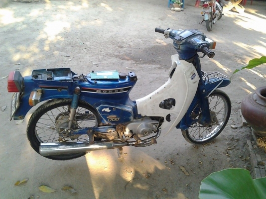 นันทิดาทองขาวทะเบียน