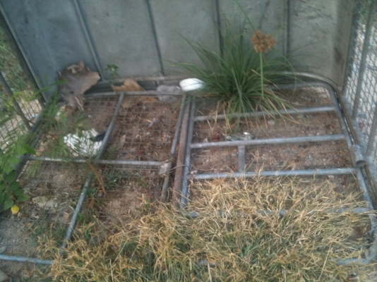 ขายหลังคา สวยมีประตูปิดท้าย 4,000 บาท