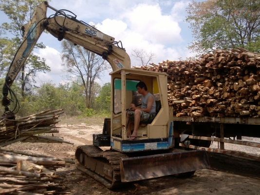 แบคโฮติดปากคีบไม้และรถหกล้อเทอร์เลอร์ แบคโฮติดปากคีบไม้และรถหกล้อเทอร์เลอร์