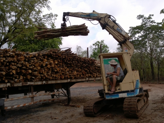 แบคโฮติดปากคีบไม้และรถหกล้อเทอร์เลอร์ แบคโฮติดปากคีบไม้และรถหกล้อเทอร์เลอร์