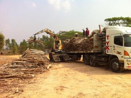 แบคโฮติดปากคีบไม้และรถหกล้อเทอร์เลอร์ แบคโฮติดปากคีบไม้และรถหกล้อเทอร์เลอร์