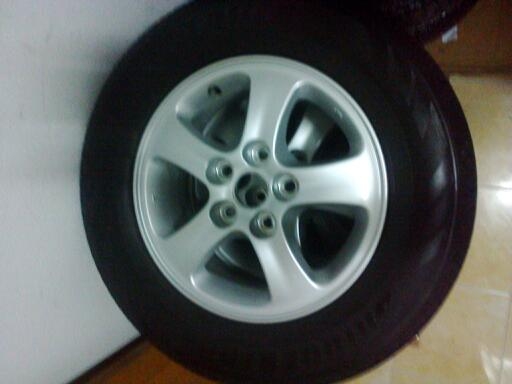 ขายเหมา2ชุดไททัล15พร้อมยางบิดโตนปลายปี12ดอกเต็ม16พร้อมยางบิดโตนสวยๆปี13 ขายเหมา2ชุดไททัล15พร้อมยางบิดโตนปลายปี12ดอกเต็ม16พร้อมยางบิดโตนสวยๆปี13