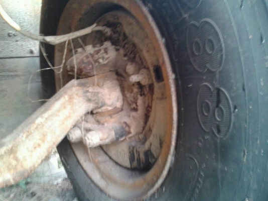 ขายสิบล้อไอหลง AM