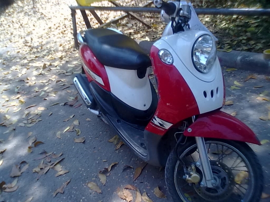 ขายรถ ฟีโน่ สีแดง