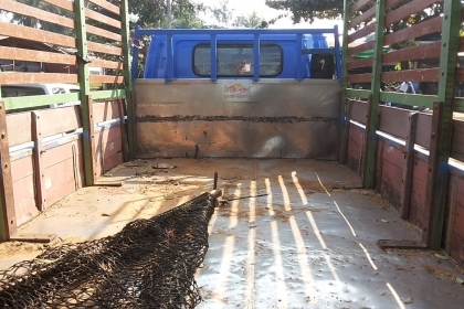 **540,000 บ.ต่อรอง**ขาย6ล้อ ISUZU NPR120HP NPR66LX5S ห้างแท้ปี38 วางเครื่องฝาขา 4HF1 120แรง(ลงเล่ม) เครื่องแน่นดี แรง ช่วงล่างเดิมคัสซีสวยเดิมไม่ผุ ไม่ปะไม่ดาม กระบะพื้นเหล็กคอกไม้สภาพสวย ไม่ผุ ยาว 4.30ม. หัวเดิมทำสีใหม่ สวย ภายในคอนโซลครบ ยางดี6เส้น พร้อ **540,000 บ.ต่อรอง**ขาย6ล้อ ISUZU NPR120HP NPR66LX5S ห้างแท้ปี38 วางเครื่องฝาขา 4HF1 120แรง(ลงเล่ม) เครื่องแน่นดี แรง ช่วงล่างเดิมคัสซีสวยเดิมไม่ผุ ไม่ปะไม่ดาม กระบะพื้นเหล็กคอกไม้สภาพสวย ไม่ผุ ยาว 4.30ม. หัวเดิมทำสีใหม่ สวย ภายในคอนโซลครบ ยางดี6เส้น พร้อ