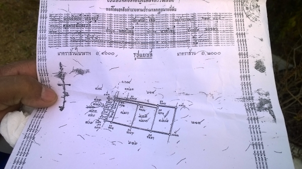 ขายที่ดิน..พร้อมบ้าน....ที่สวยบ้านสวย เนื้อที่3.5ไร่ ทำเลทองติดถนนเอเซียสายหลัก ขายที่ดิน..พร้อมบ้าน....ที่สวยบ้านสวย เนื้อที่3.5ไร่ ทำเลทองติดถนนเอเซียสายหลัก