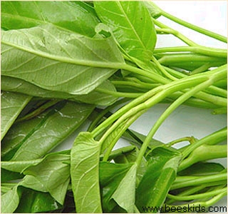 ยกเลิก ยกเลิก