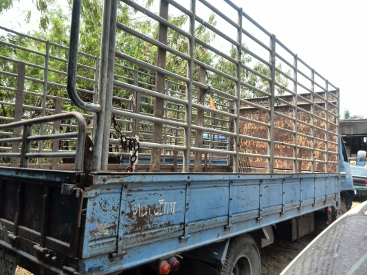 ขาย 6 ล้อช่วงยาว อีซูซุ NPR61 เครื่อง 4BG 125 แรง