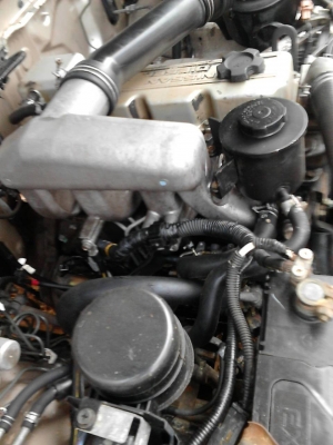 ฟอนเทีย หัวเดียว พวงมาลัยเพาเวอร์ 135000 ฟอนเทีย หัวเดียว พวงมาลัยเพาเวอร์ 135000