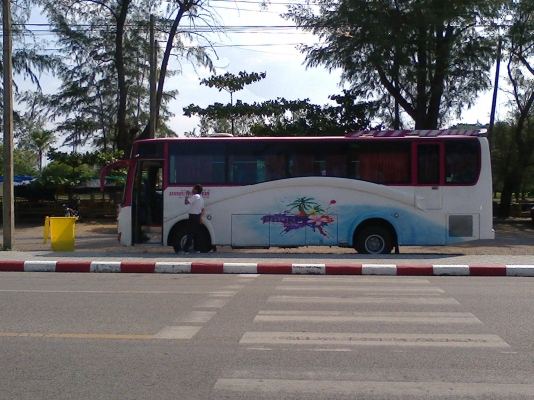 ขายบัสฮีโน่ 8 เมตร