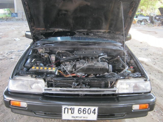 ขายฮอนด้า แอคคอร์ด ตาแมว ปี89 เกียร์ออโต33000 ขายฮอนด้า แอคคอร์ด ตาแมว ปี89 เกียร์ออโต33000