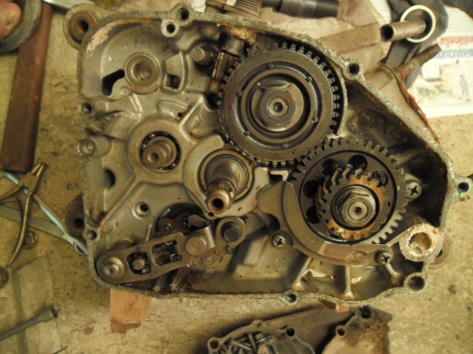 อะไหล่tzm