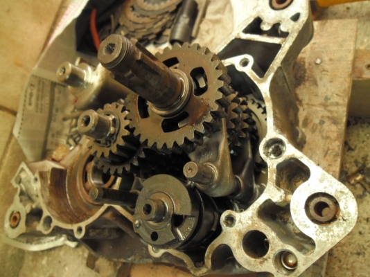 อะไหล่tzm