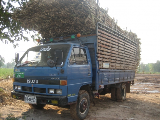 Isuzu  115  ฝาดำ    495,000  บาท