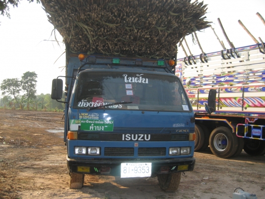 Isuzu  115  ฝาดำ    495,000  บาท