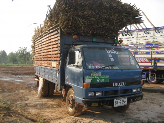 Isuzu  115  ฝาดำ    495,000  บาท