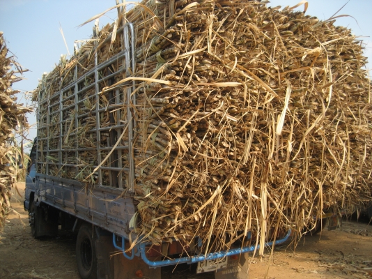 ISUZU 120 ตาหวาน   550,000 บาท