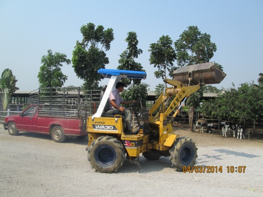 ขายด่วน