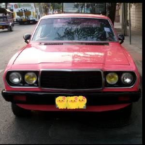 ขายน้องนมเย็นครับ ปรับราคาครั้งสุดท้ายครับ