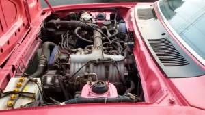 ขายน้องนมเย็นครับ ปรับราคาครั้งสุดท้ายครับ