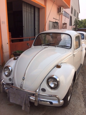 ขายรถเต่า ปี66 ขายรถเต่า ปี66