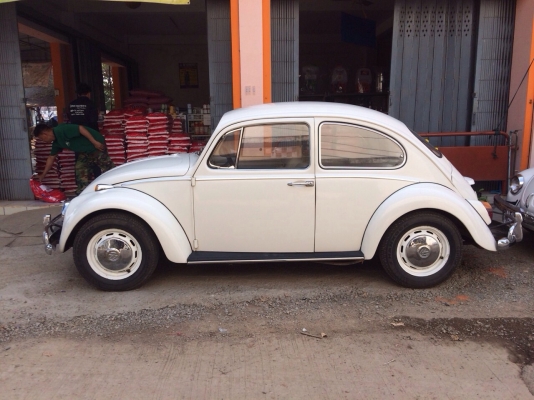 ขายรถเต่า ปี66 ขายรถเต่า ปี66