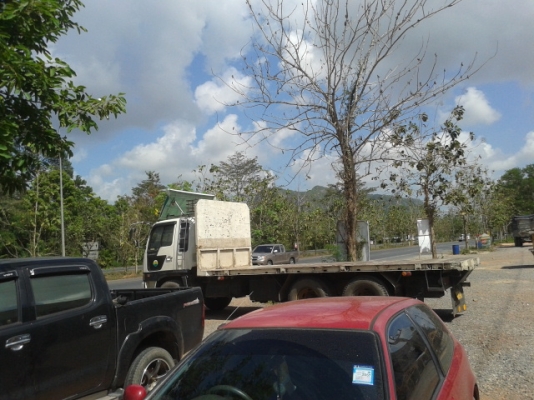 ขายแล้ว