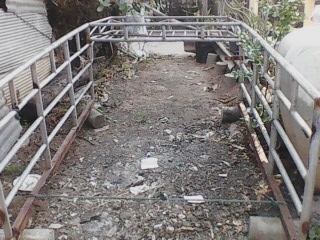 ขายคอกกะบะตอนเดียว แป็บประปาหนาอย่างดี