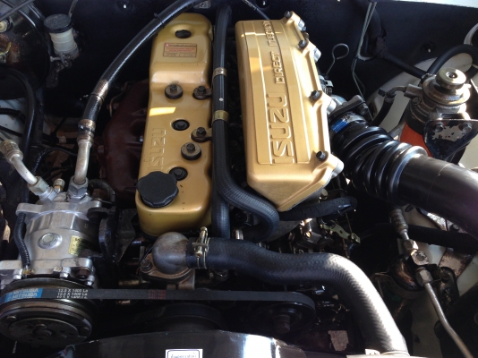 มังกรทอง.