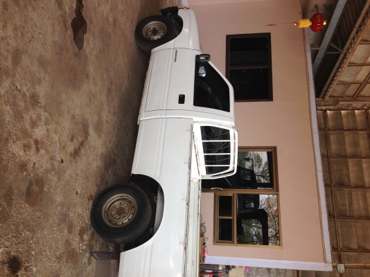 มังกรทอง.