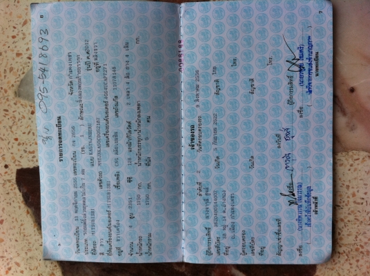 MITSUBISHI TRITON 2.4 PLUS 4 ประตู CNG ปลายปี 2012 ใช้น้อย 19796 ก.ม. MITSUBISHI TRITON 2.4 PLUS 4 ประตู CNG ปลายปี 2012 ใช้น้อย 19796 ก.ม.