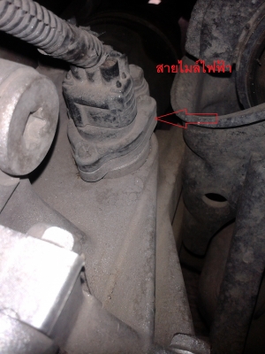 ขายเกียร์ออโต้ สามสาย ชนเครื่อง 4afe ขายเกียร์ออโต้ สามสาย ชนเครื่อง 4afe