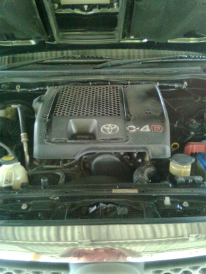 ขายดาวฟอจูนเนอว์ ปี 2007