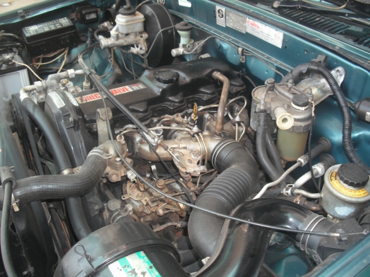 ขายไมตี้ เก็บสีให้เรียบร้อย